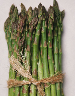 http://www.dom-klumba.ru/curative/asparagus/1.jpg